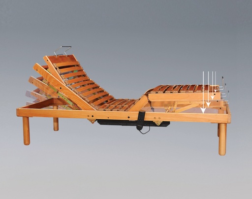 [BSBB-MOT-F-MOLBEE 90X190] 90 x 190 BED BASE W/MOTOR SPECIAL CARE (S)